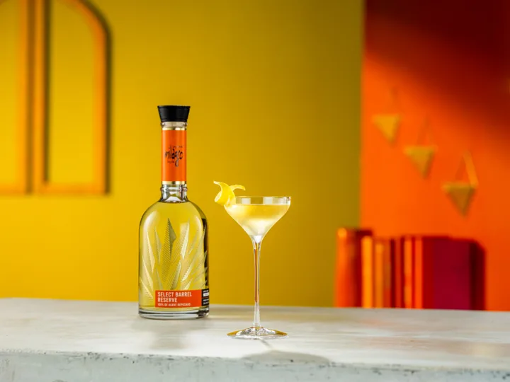 Select Mexican Martini